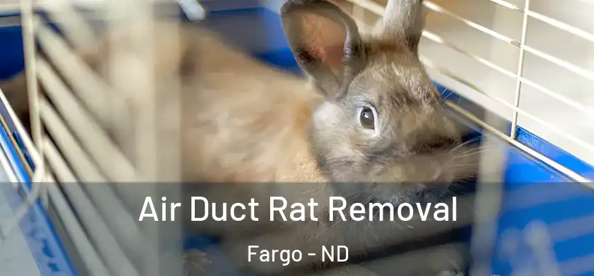  Air Duct Rat Removal Fargo - ND