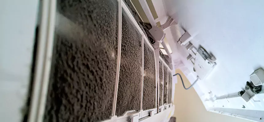 Preventive Air Duct Bacteria Removal in Fargo