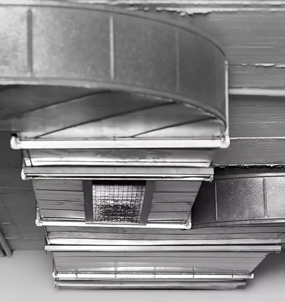 Professional Air Duct Pest Removal in Fargo, ND