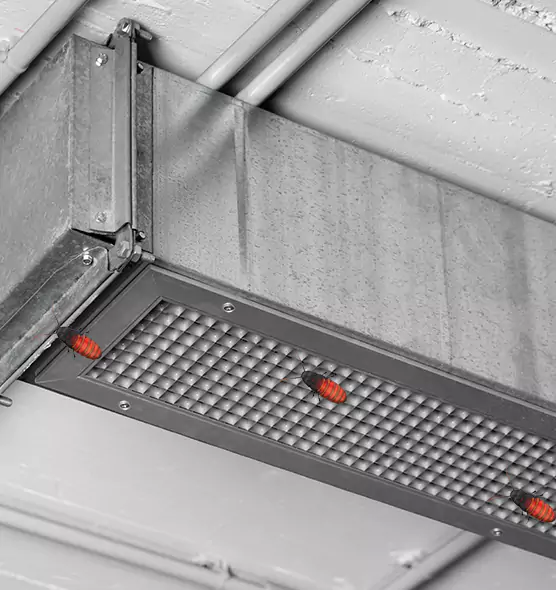 Affordable Insect Removal from Air Ducts in Fargo, ND