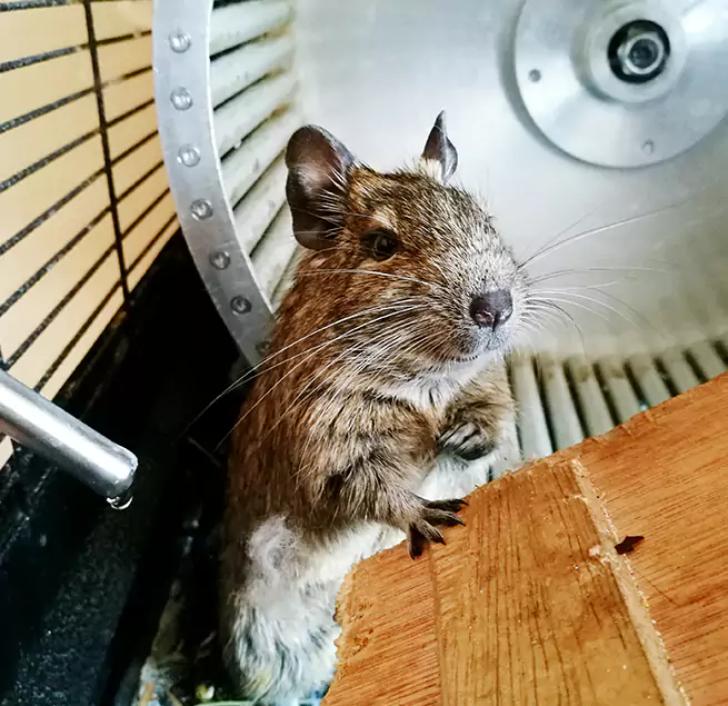 Why Homeowners & Businesses Trust Us Fargo, ND